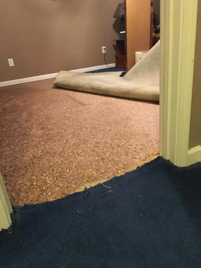 Carpet pad removal revealing water damage during Drying & Dehumidification in Noble
